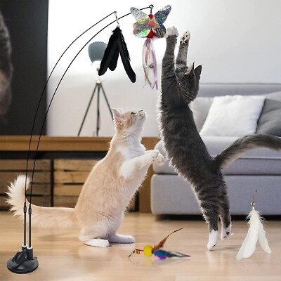 Cat chasing a feather wand toy