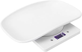 Digital kitchen scale with cat food bowl