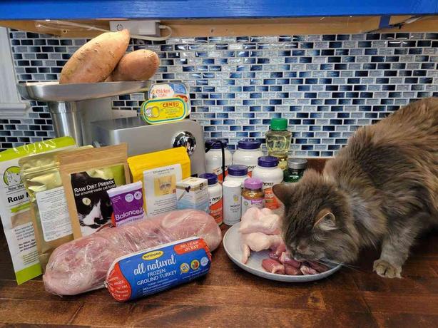 Ingredients for homemade cat food on a counter