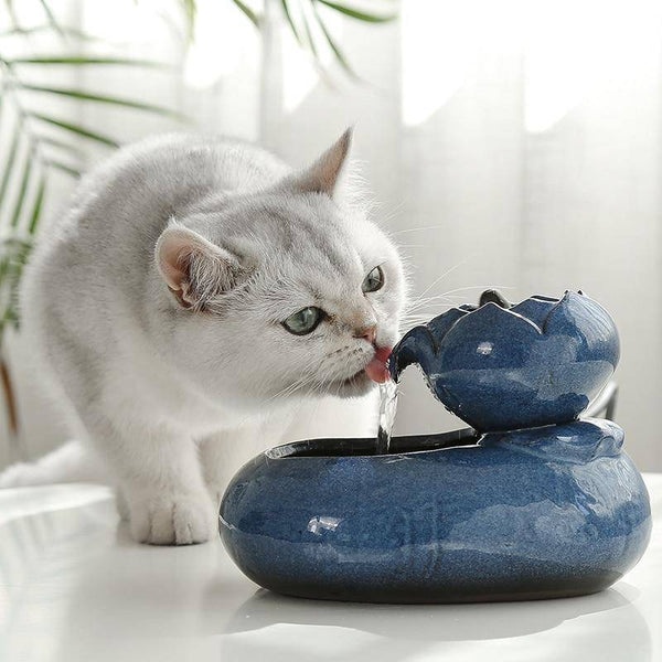 Is Your Cat Drinking Enough? The Water Math Nobody Talks About — Cat Calorie Tool